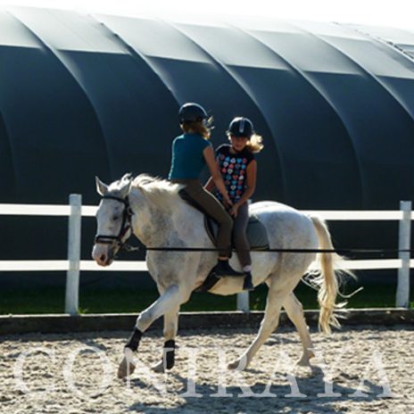 coniraya Trening sportowy z woltyżerką 12
