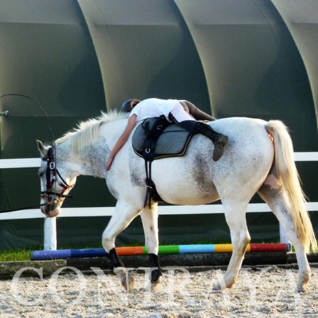 coniraya Trening sportowy z woltyżerką 13