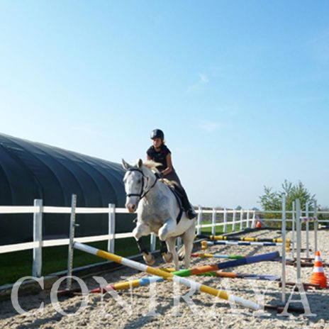 coniraya Trening sportowy z woltyżerką 2