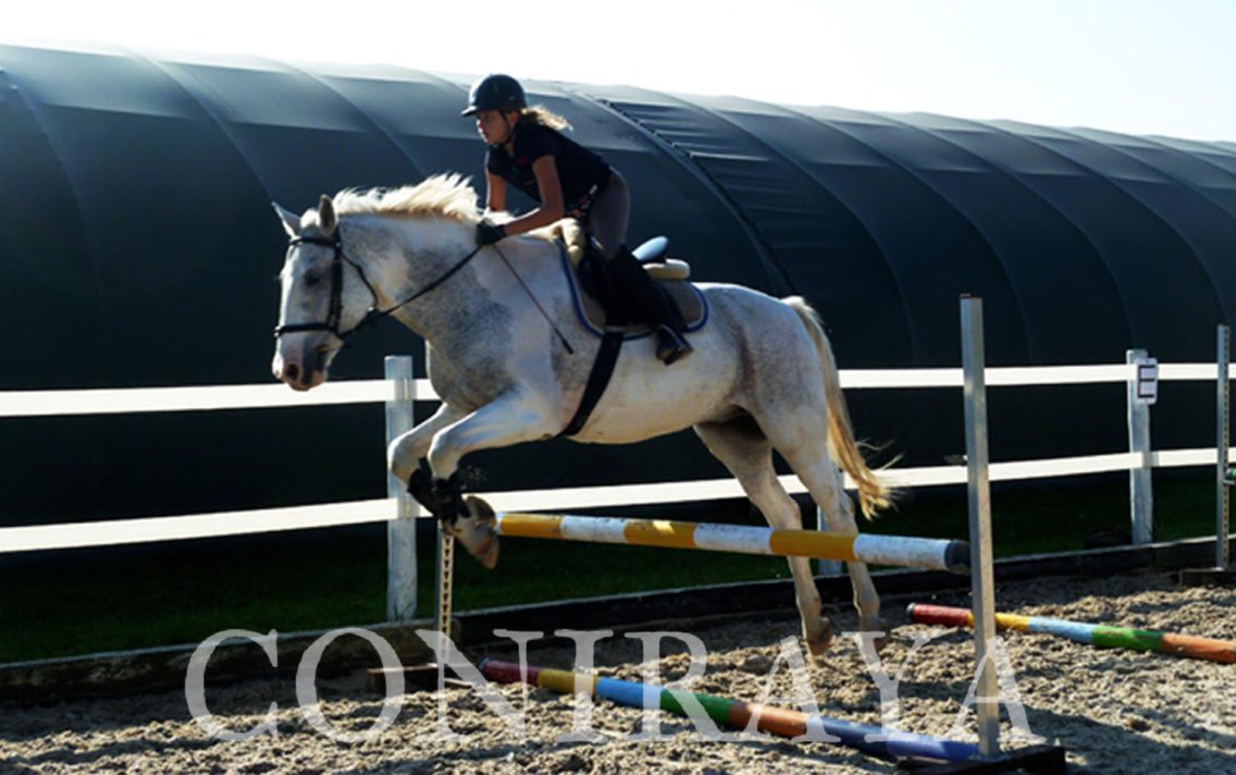 main image: Trening sportowy z woltyżerką
