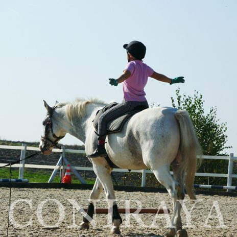 coniraya Trening sportowy z woltyżerką 6