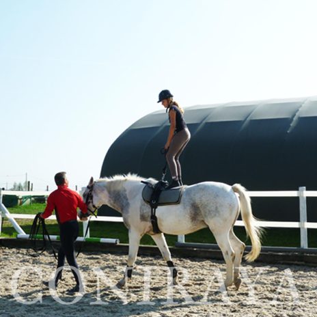 coniraya Trening sportowy z woltyżerką 9