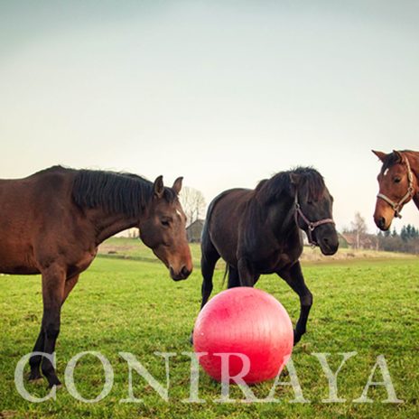 coniraya Mecz piłki 1