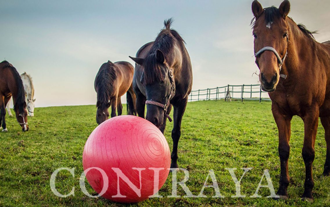 main image: Mecz piłki …