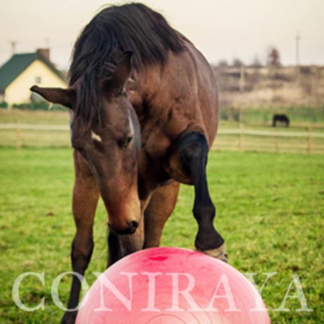 coniraya Mecz piłki 3