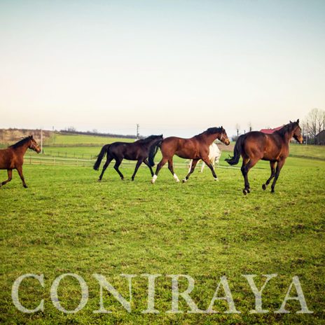 coniraya Mecz piłki 5