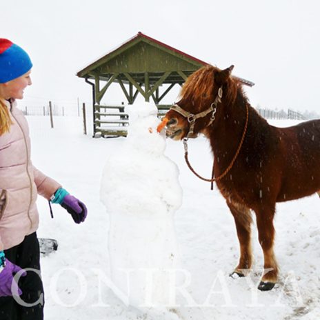 coniraya Nareszcie spadł śnieg 11