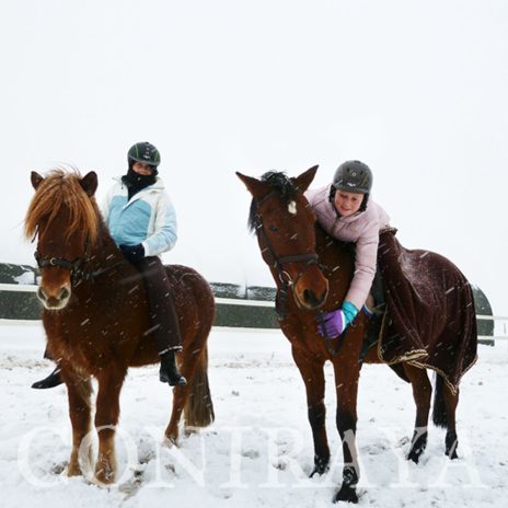 coniraya Nareszcie spadł śnieg 2