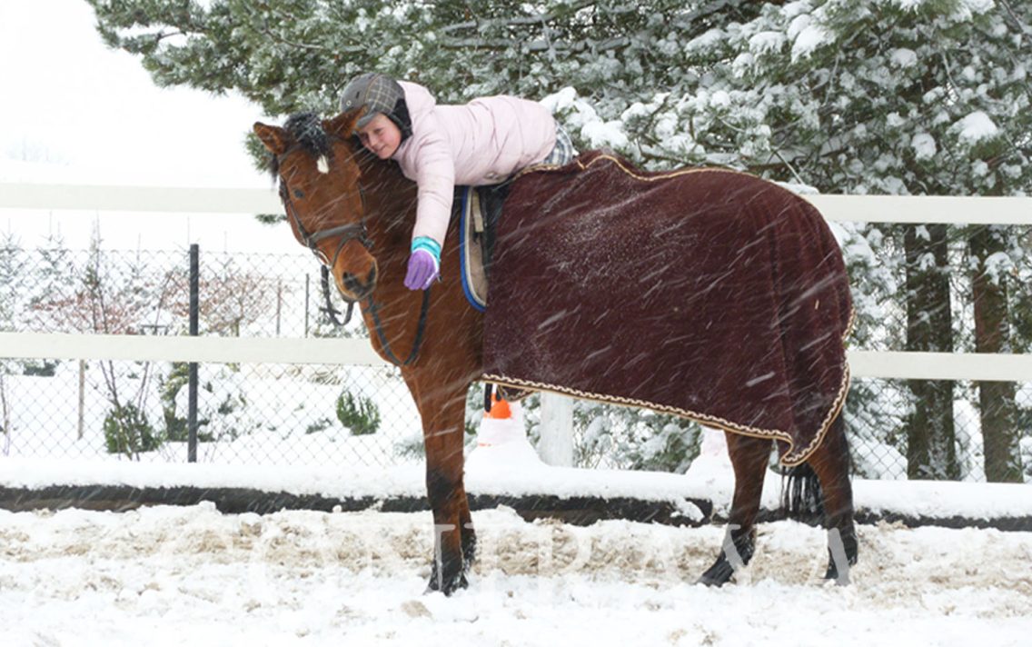main image: It finally snowed!