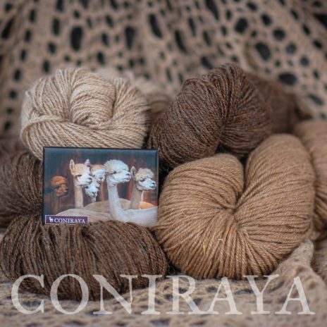 coniraya Wełna 1