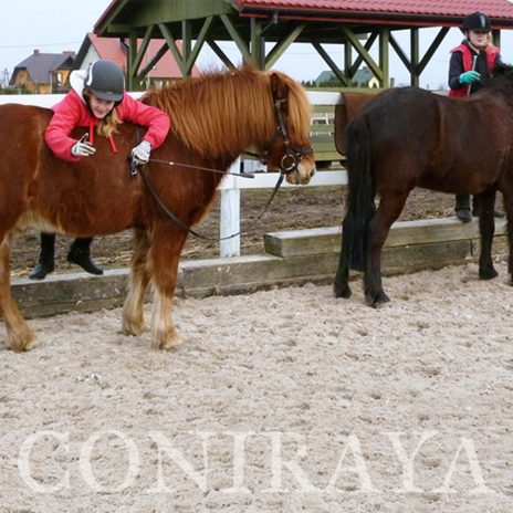 coniraya Ferie 2015 13