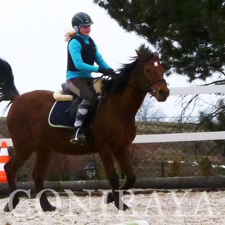 coniraya Ferie 2015 3