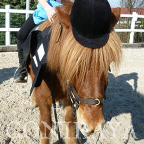 coniraya słoneczny weekend 11