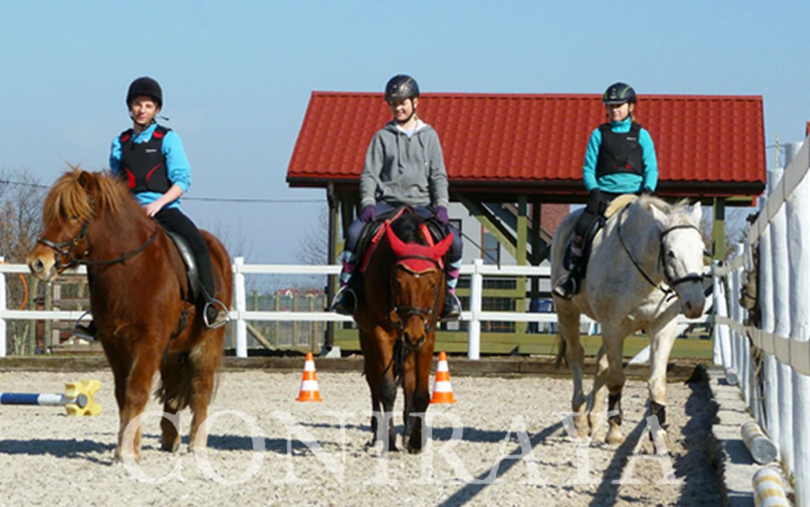 main image: Sunny weekend