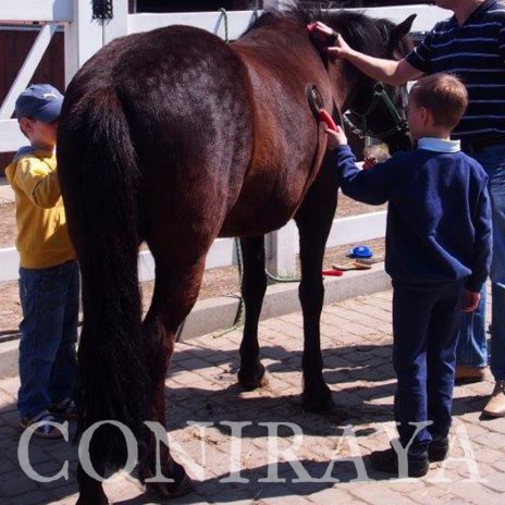 coniraya 3 maja w Coniraya 2015 2