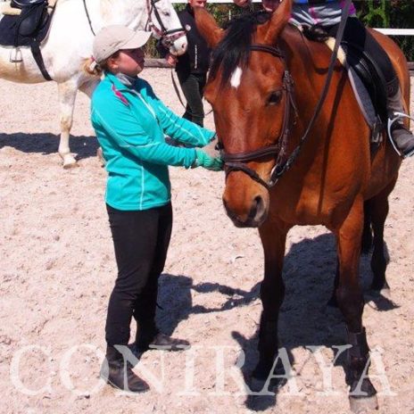 coniraya 3 maja w Coniraya 2015 3