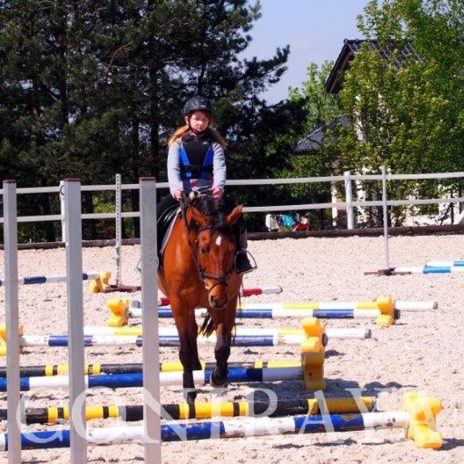 coniraya 3 maja w Coniraya 2015 4