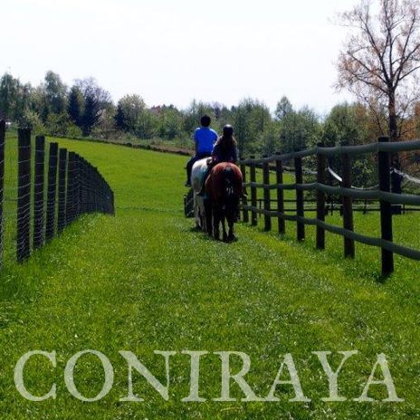 coniraya 3 maja w Coniraya 2015 5