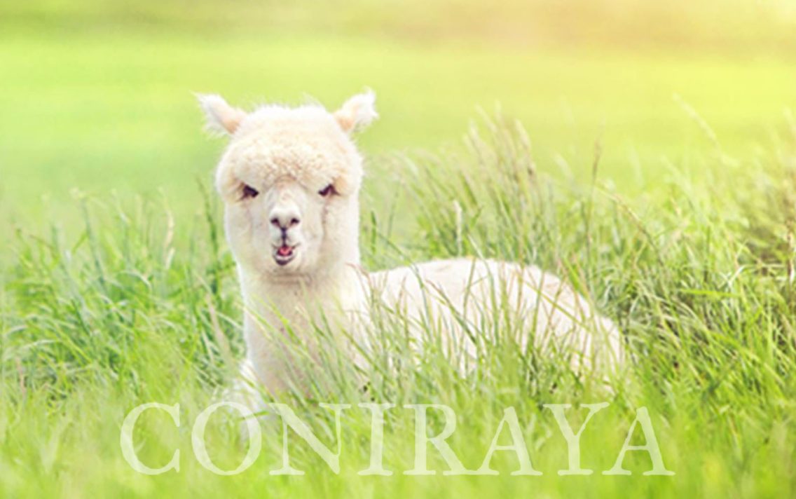 main image: Bliżej i bliżej