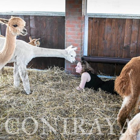 coniraya Zwierzęta które niosą spokój 38