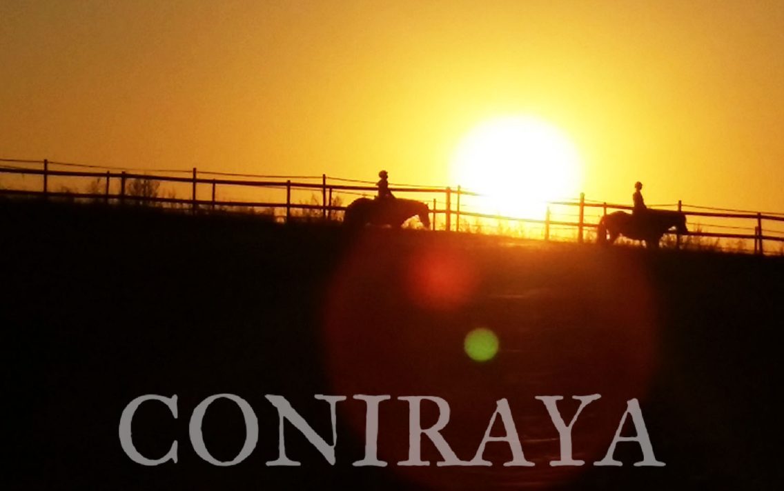 main image: Tylko w stronę słońca