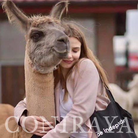 coniraya Spacer z alpakami 5