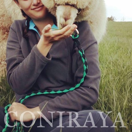 coniraya Spacer z alpakami 6