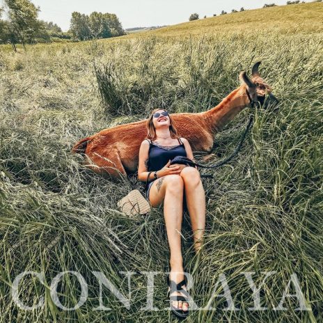 coniraya Spacer z alpakami 7