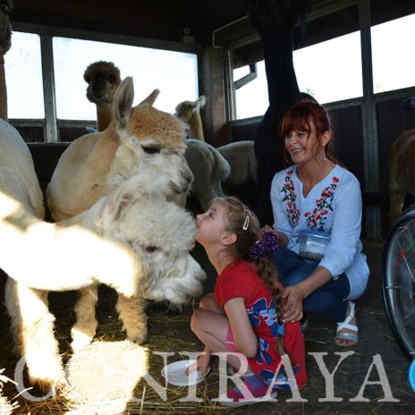 coniraya Alpakoterapia 4