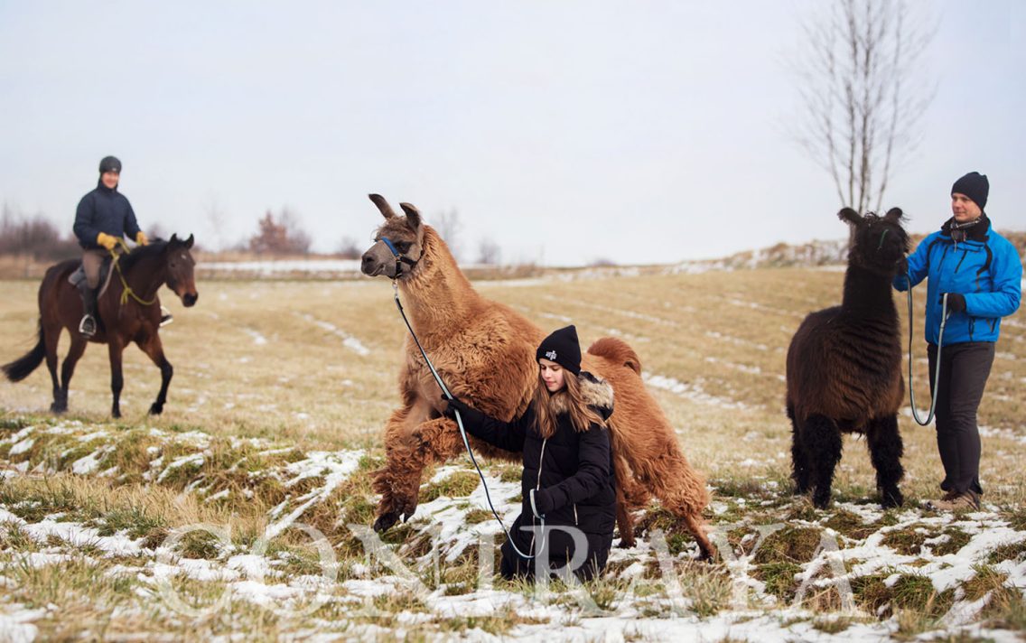 main image: Spacer z lamami