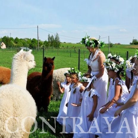 coniraya Chór Bez Batuty 3