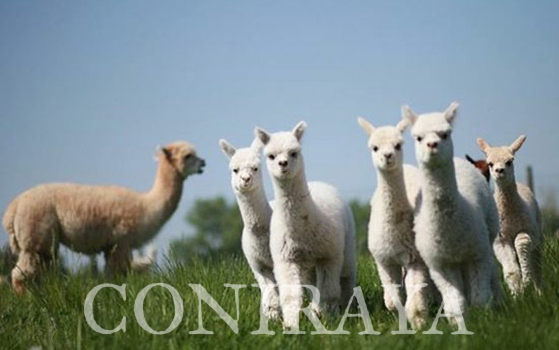 main image: Majówka