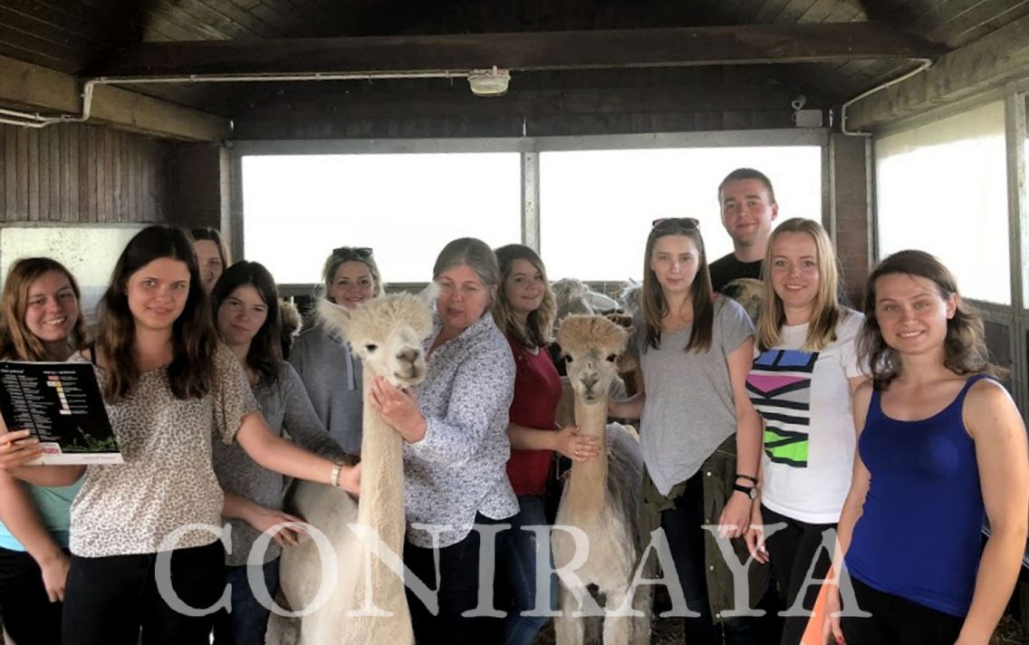 main image: Ćwiczenie Terenowe