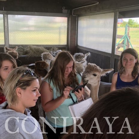 coniraya Ćwiczenie terenowe 3