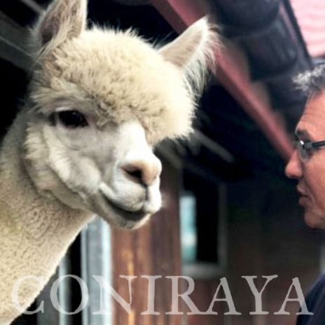 coniraya Camelidynamics III edycja 1