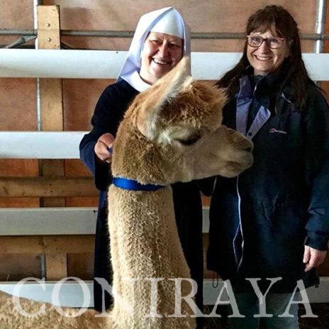 coniraya Camelidynamics III edycja 2