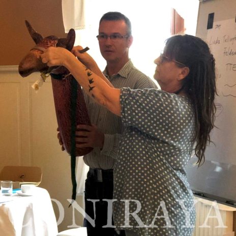 coniraya Camelidynamics III edycja 4