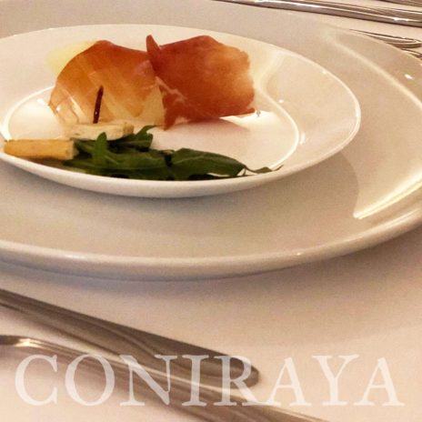 coniraya Camelidynamics III edycja 5