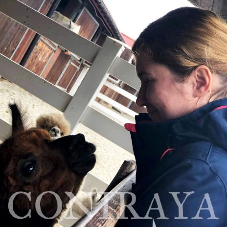 coniraya Camelidynamics III edycja 6