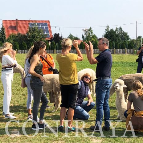 coniraya Spotkanie Psychologów Zwierząt SWPS 3