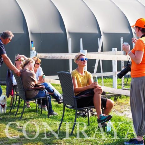 coniraya Spotkanie Psychologów Zwierząt SWPS 4