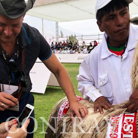 coniraya Alpaca Fiesta 2018 10