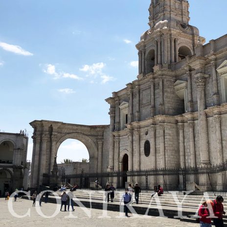 coniraya Alpaca Fiesta 2018 12