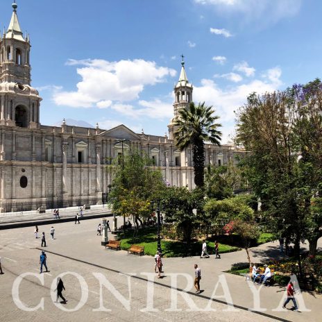 coniraya Alpaca Fiesta 2018 13