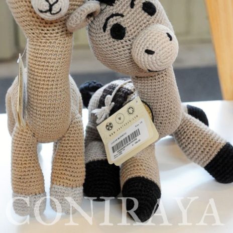 coniraya Alpaca Fiesta 2018 15