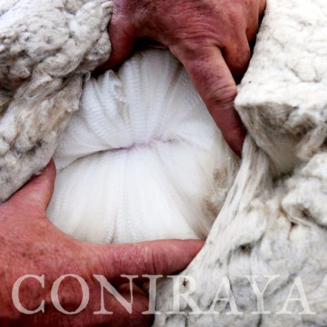 coniraya Alpaca Fiesta 2018 4