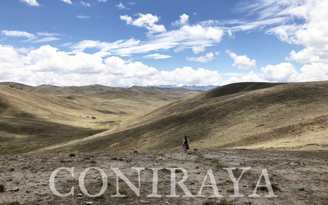 main image: Vicuna Chaccu