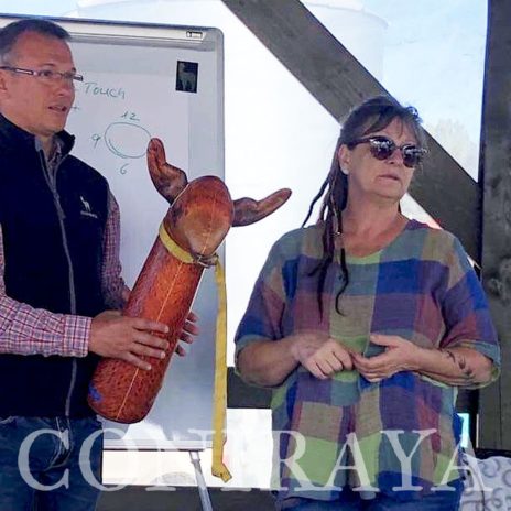 coniraya Camelidynamics 1