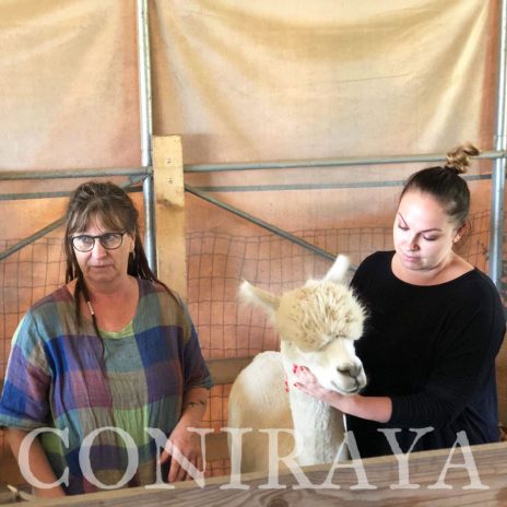 coniraya Camelidynamics 3