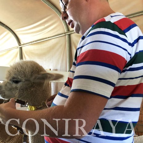 coniraya Camelidynamics 6